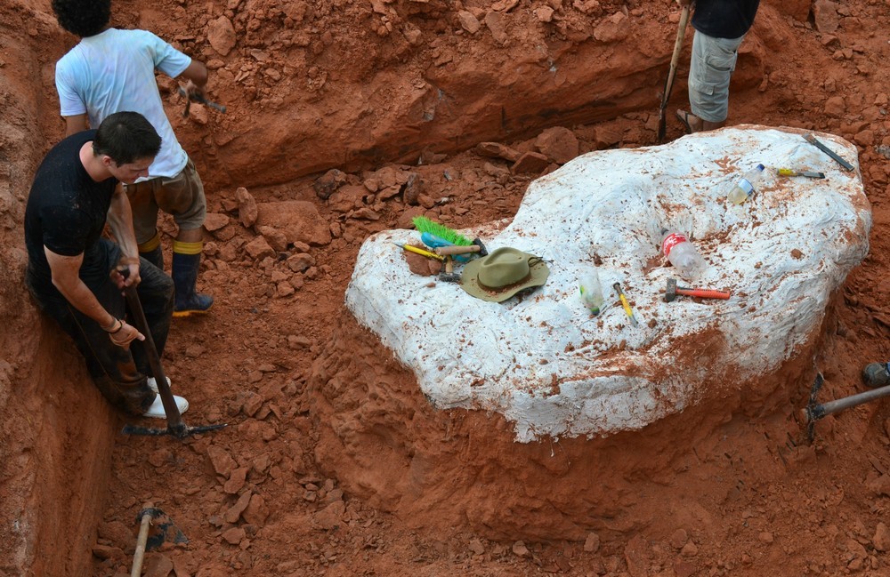 A ossada, da imponente espécie Pescoço Longo, foi encontrada recentemente na cidade de São João do Polêsine, no interior do Rio Grande do Sul. O achado atraiu a atenção do mundo científico que se interessou pela nova descoberta.